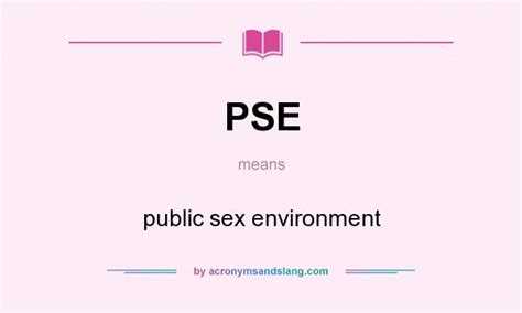 An acronym meaning "Porn Star Experience" often used by escorts, providers, and other sex workers in their menus. PSE is used to imply or specify that a collection of specific acts are available with the given provider, and at a minimum means the acts that you see in a "typical" porn movie. 